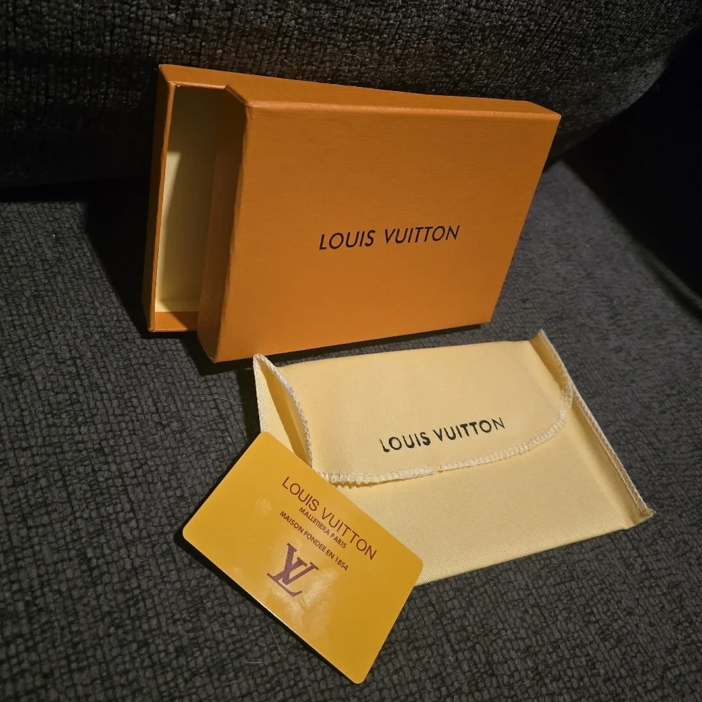Louis Vuitton elegant louis